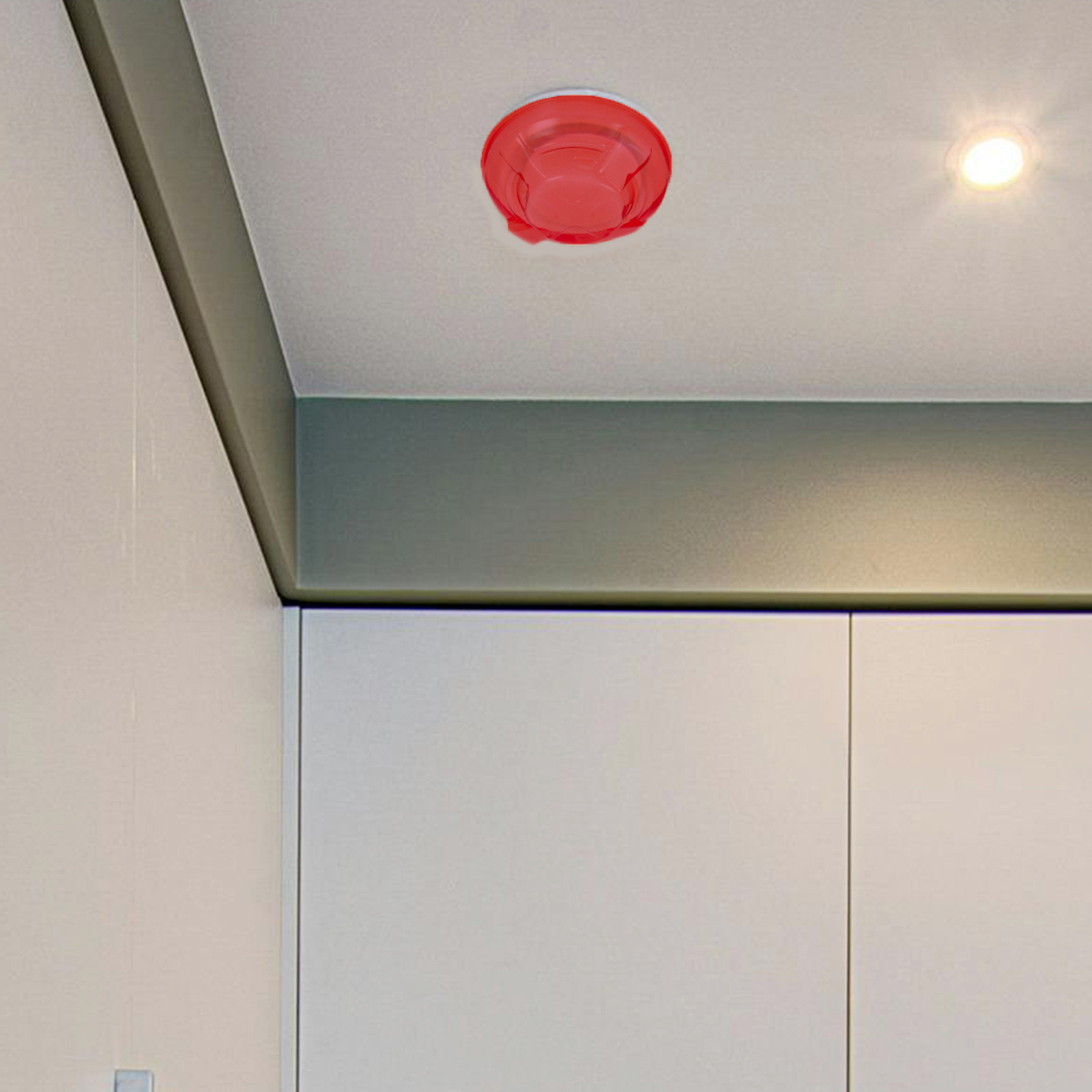 2 pezzi di copertura protettiv - Commercial Kitchen Paint recensione e prezzo
