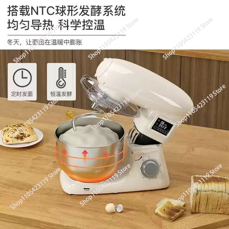 Impastatrice Elettrica 110V, P - Dough Mixer Machine recensione e prezzo